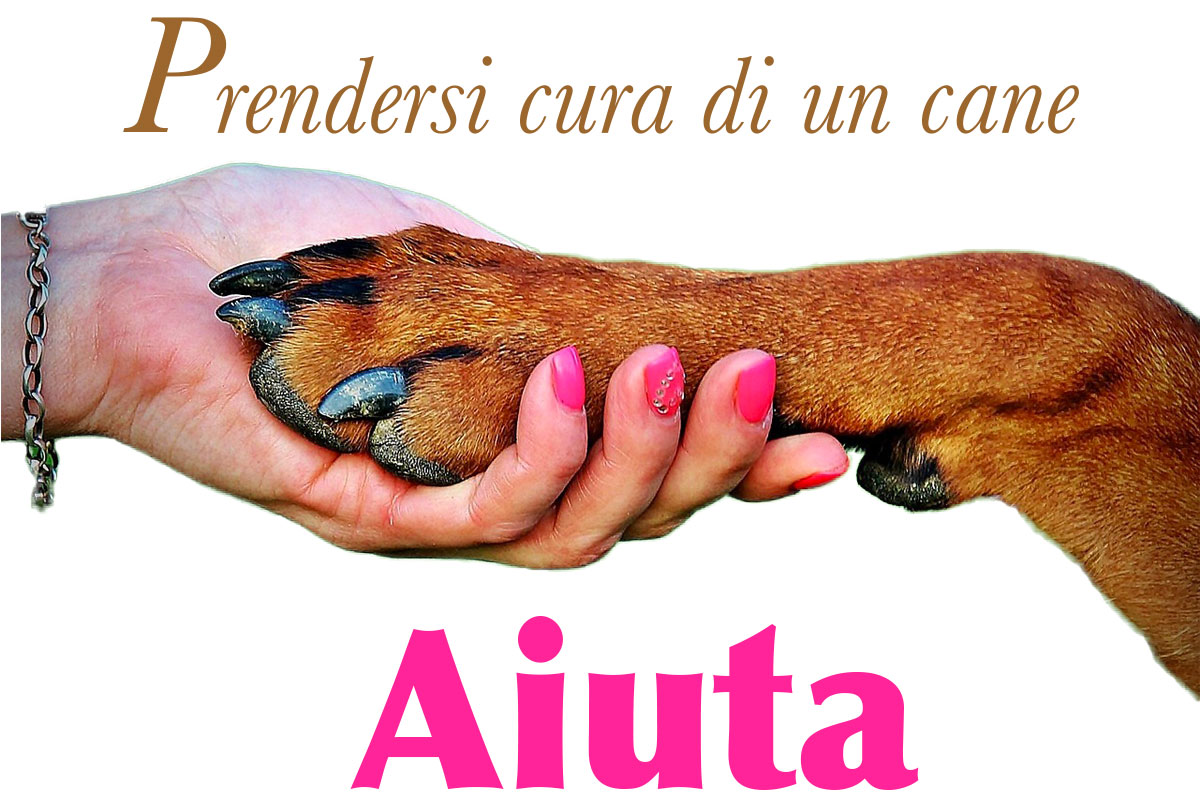 Pet therapy: perchè aiuta